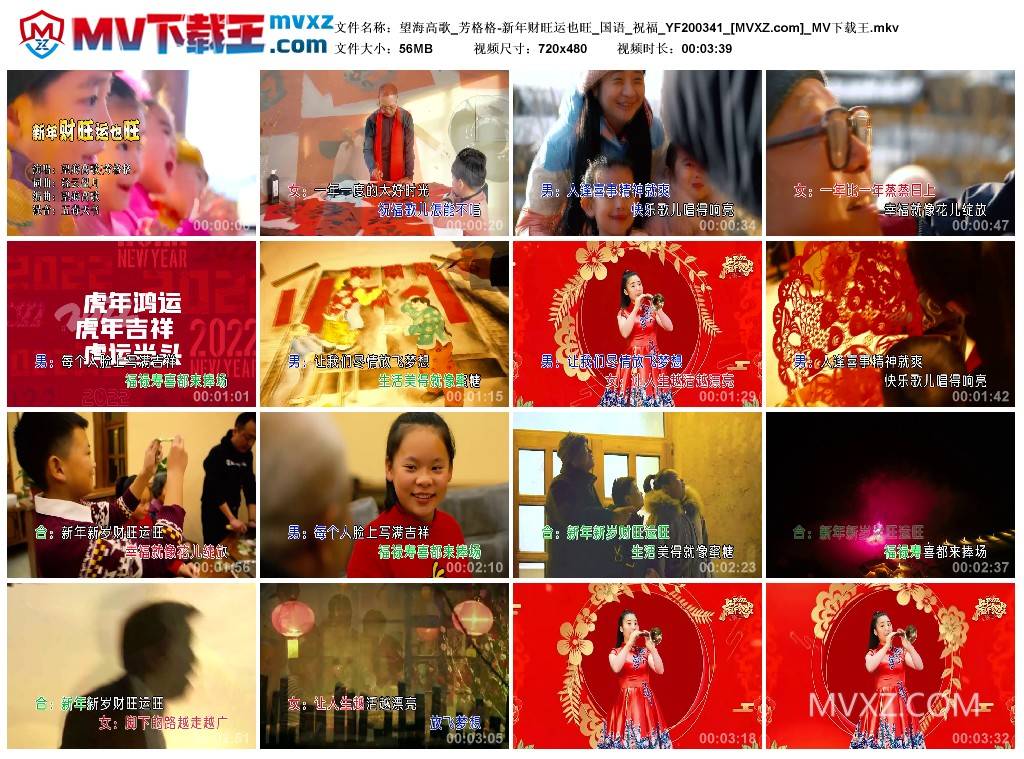 望海高歌_芳格格-新年财旺运也旺_国语_祝福_YF200341